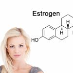 Estrogen