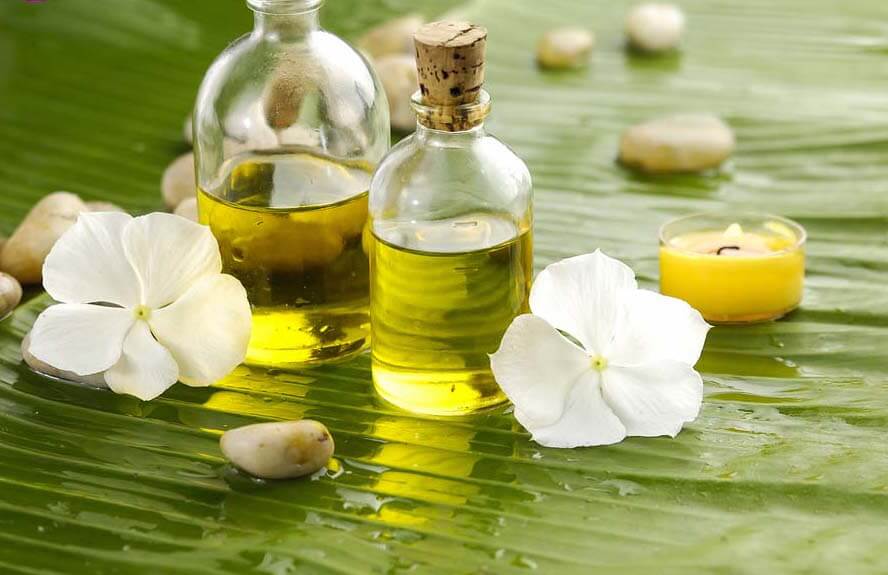 Dầu mù u trị sẹo